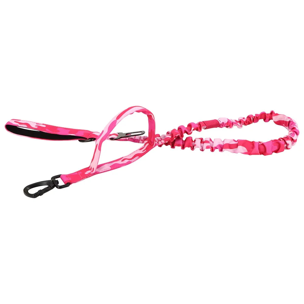 PETRAVEL Dual Handle Adjustable Nylon Dog Leash With Quick Release