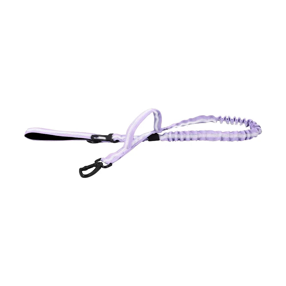 PETRAVEL Dual Handle Adjustable Nylon Dog Leash With Quick Release