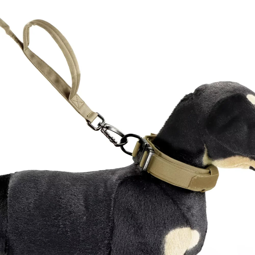 PETRAVEL Dual Handle Adjustable Nylon Dog Leash With Quick Release