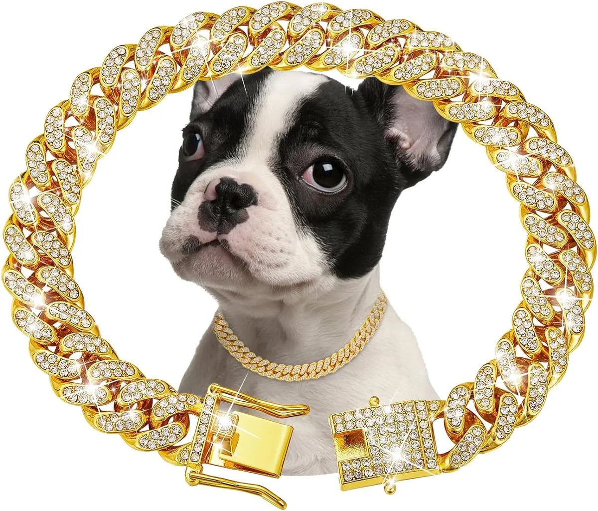 Luxury Stainless Steel Pet Chain Collar With Jeweled Details