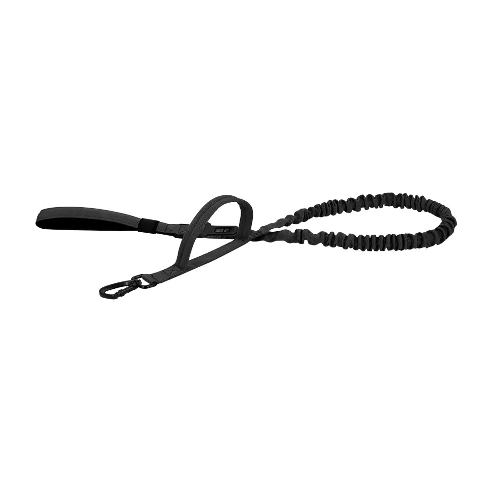 PETRAVEL Dual Handle Adjustable Nylon Dog Leash With Quick Release