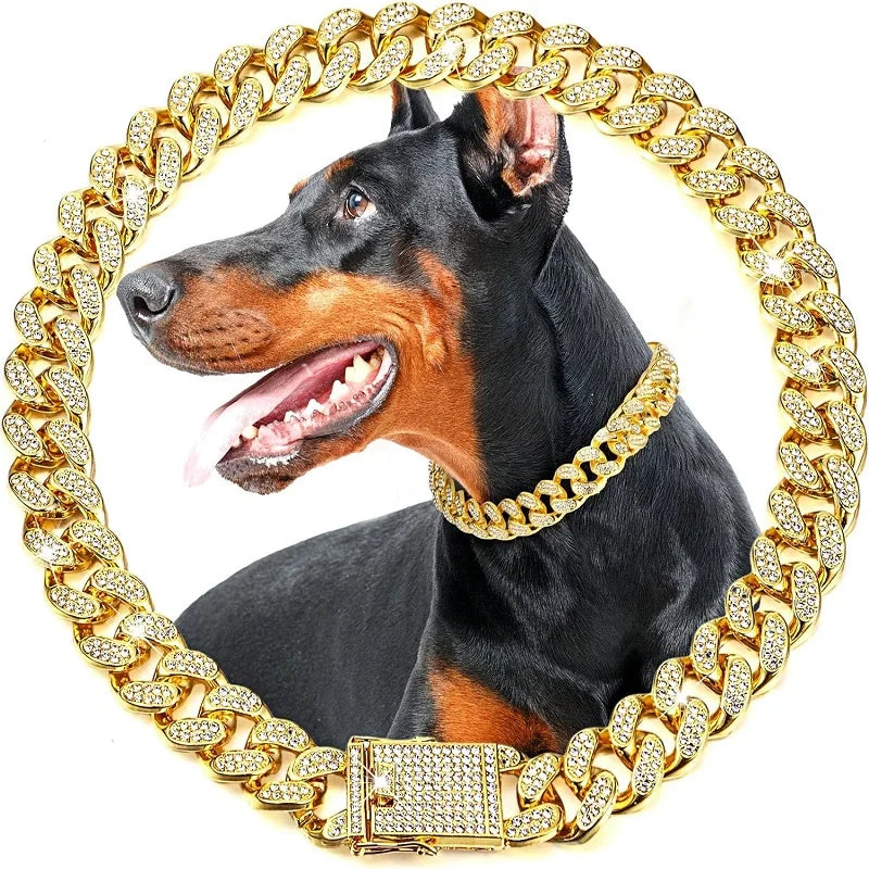 Luxury Stainless Steel Pet Chain Collar With Jeweled Details