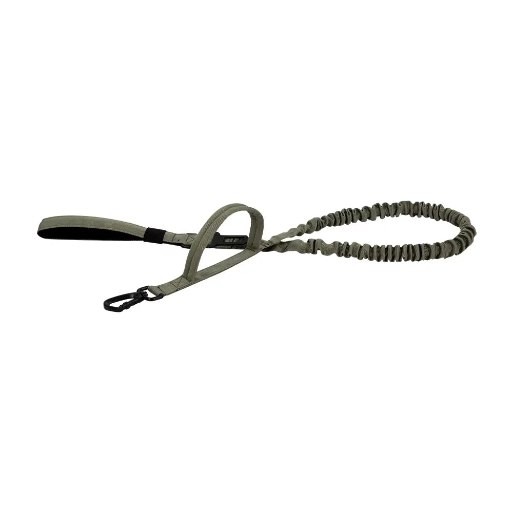 PETRAVEL Dual Handle Adjustable Nylon Dog Leash With Quick Release