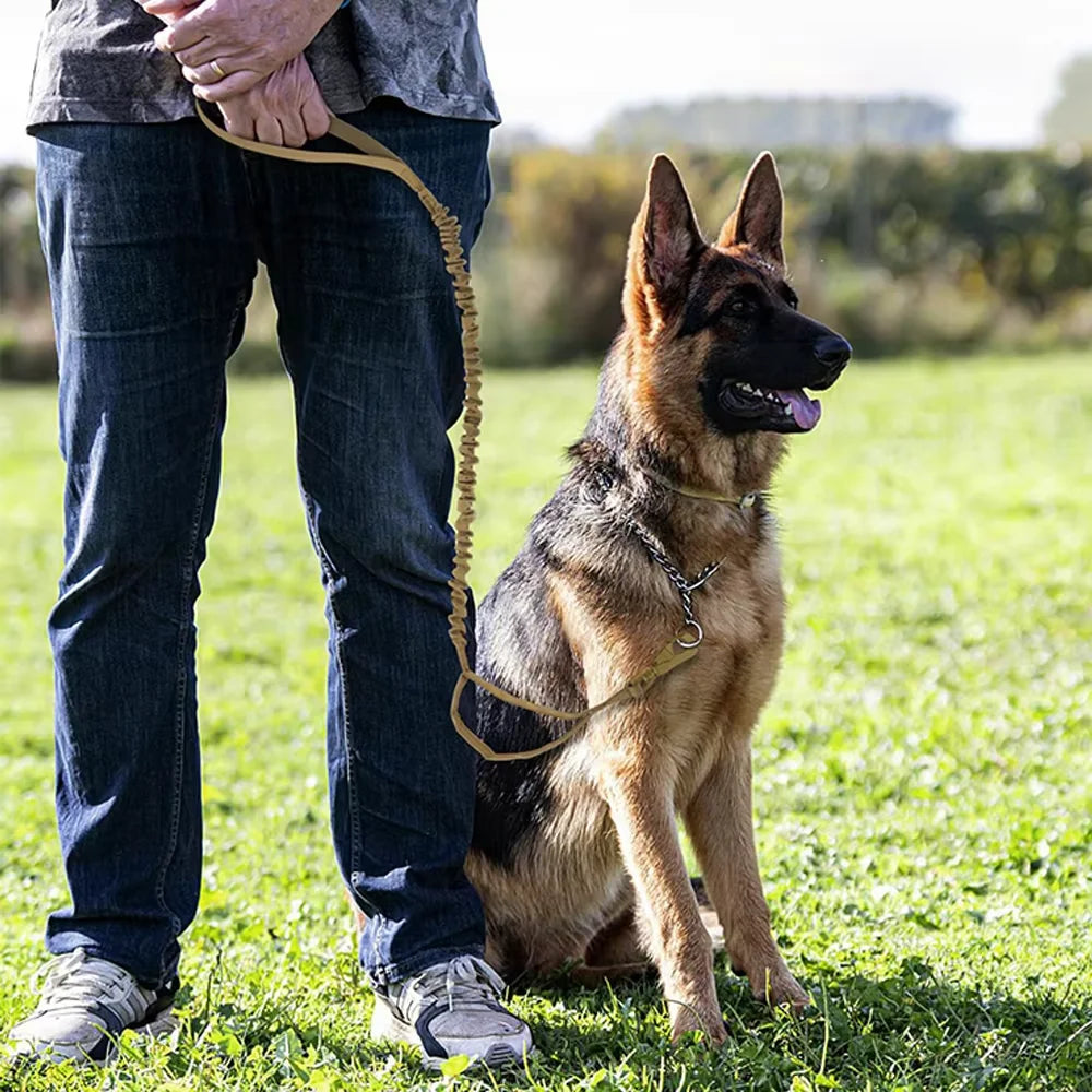 PETRAVEL Dual Handle Adjustable Nylon Dog Leash With Quick Release