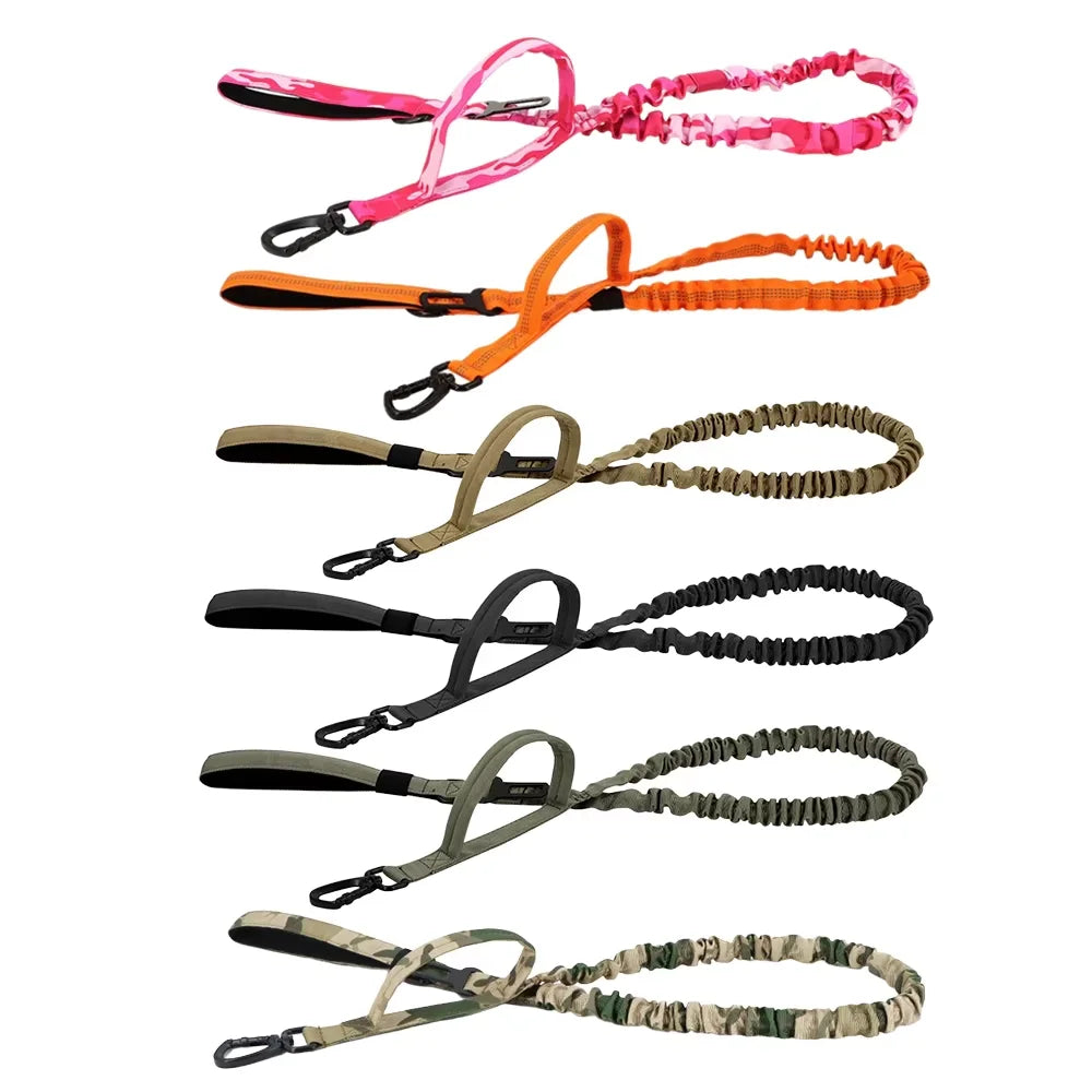 PETRAVEL Dual Handle Adjustable Nylon Dog Leash With Quick Release