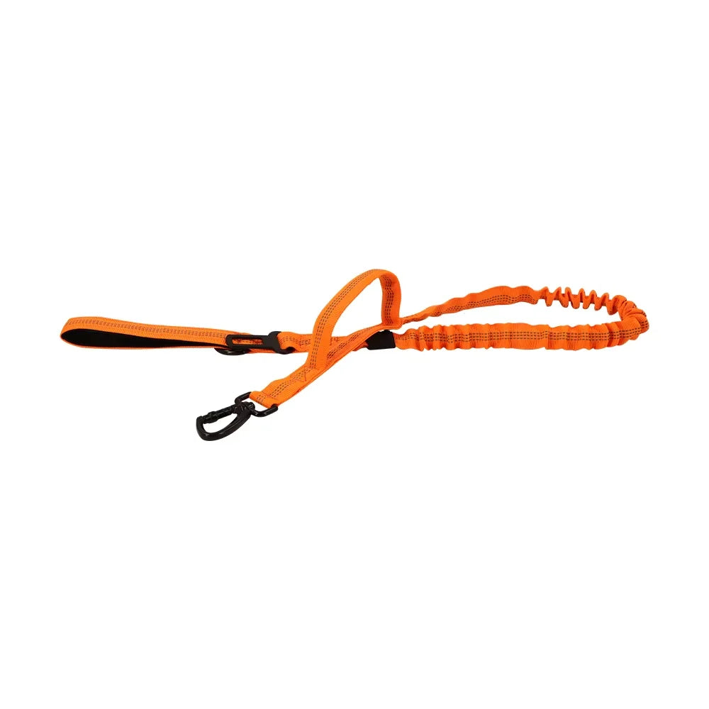 PETRAVEL Dual Handle Adjustable Nylon Dog Leash With Quick Release